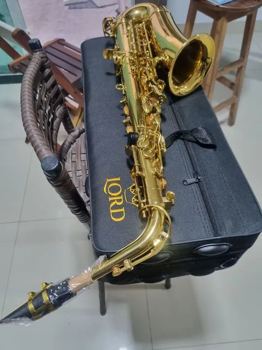 Sax Alto Mib novo Na caixa - Foto 6