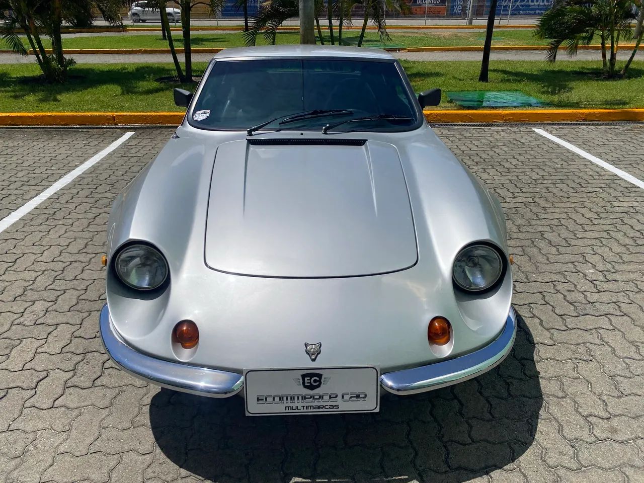 Puma GTE 1.6   1980