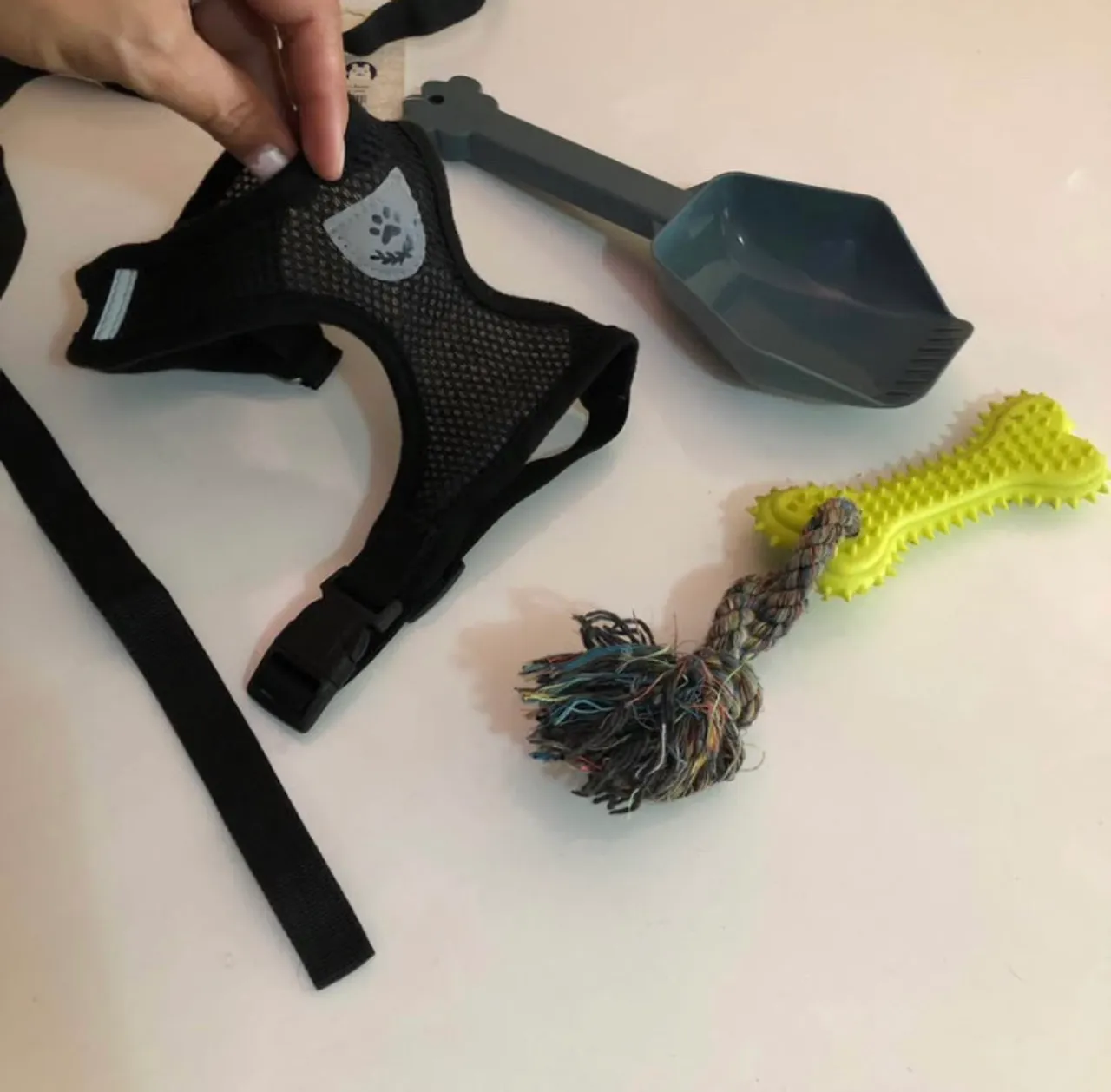Kit Completo para Cães: Peitoral, Brinquedos e Pá Coletora