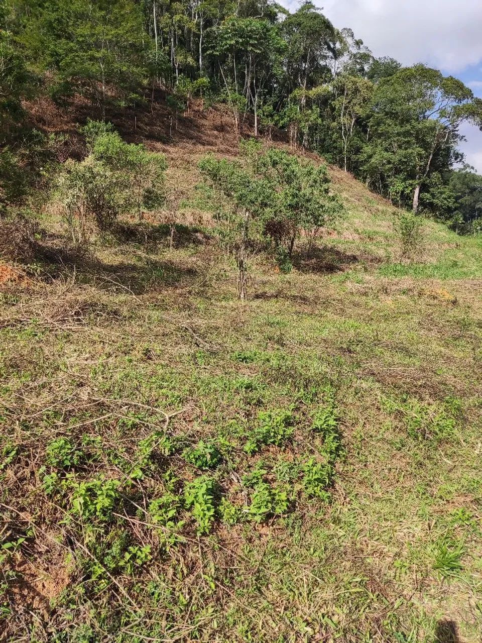 Foto - Marechal Floriano - 