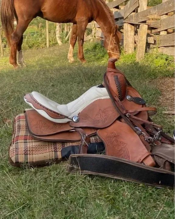 Sela quarto de milha 