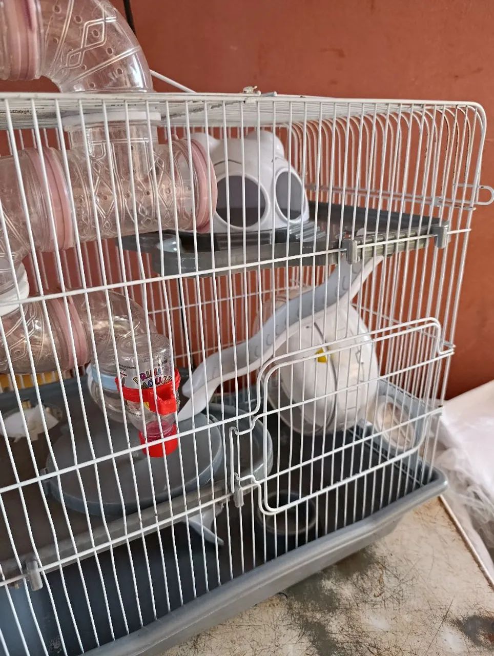 Gaiola de ramister - Foto 3