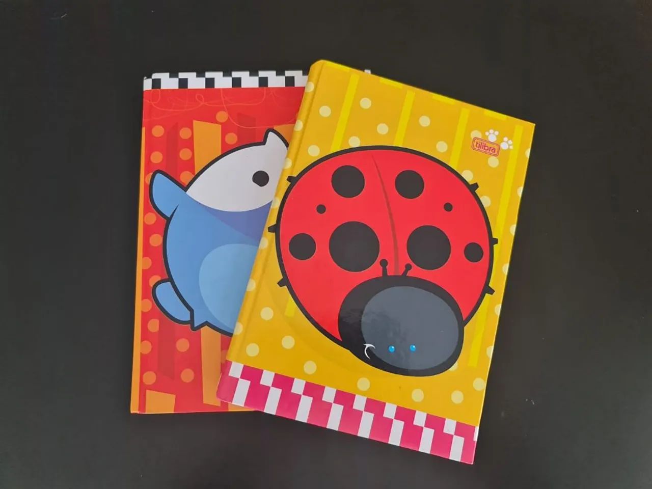 Caderno infantil 96 folhas 