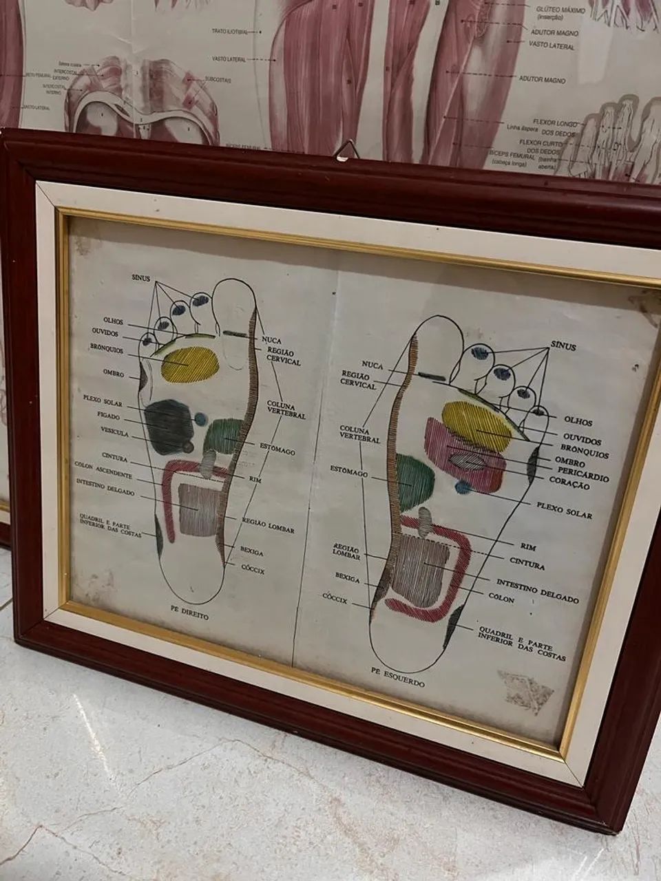 Quadros para clinicas 63824564201473121