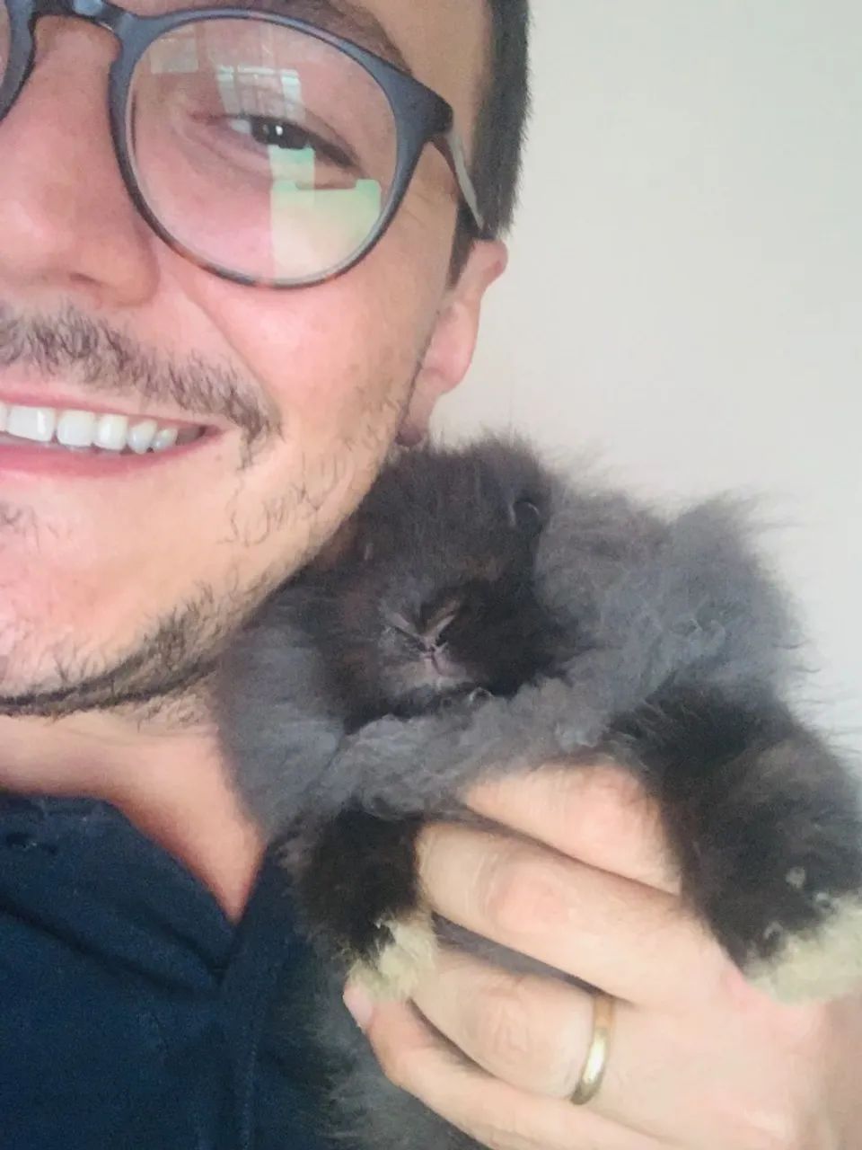 Coelho - Foto 5