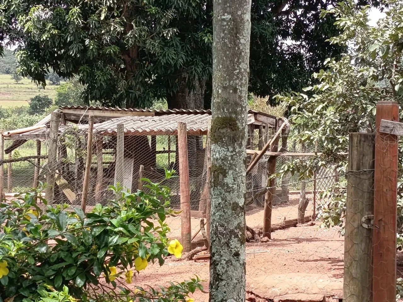 Sítio próximo Uberlândia 28 hectares 