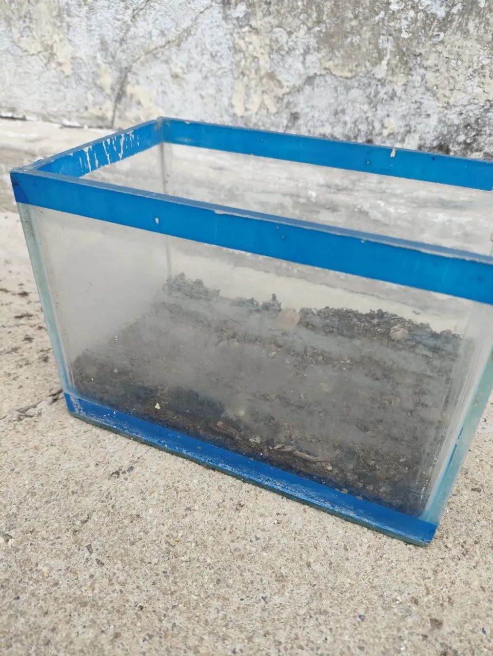 Aquário com Filtro e Decoração - Foto 4