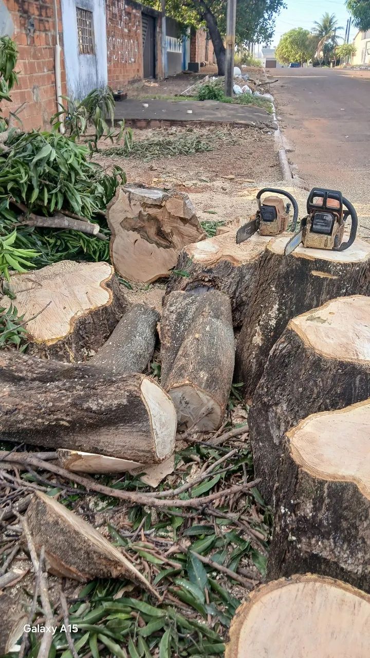 Podar de árvores e limpeza em geral  - Foto 2