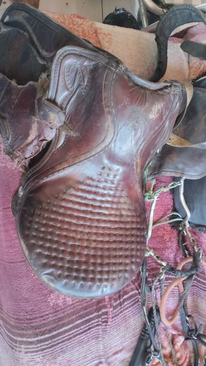 Vende-se égua com cela usada - Foto 4