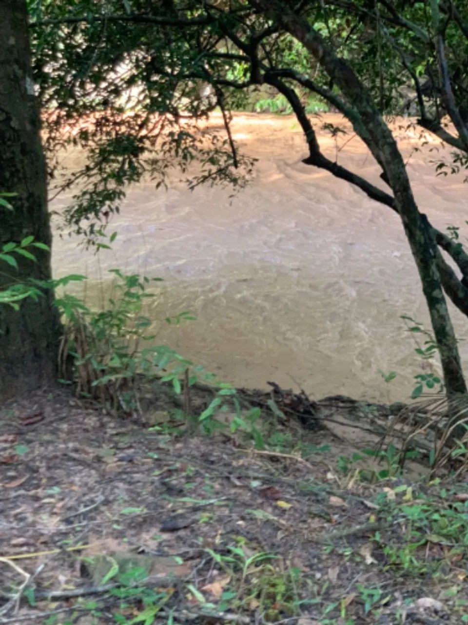  Chácara à Venda na Chapada dos Guimarães - ECO VILLE II - Beira de Rio! ? - Foto 3