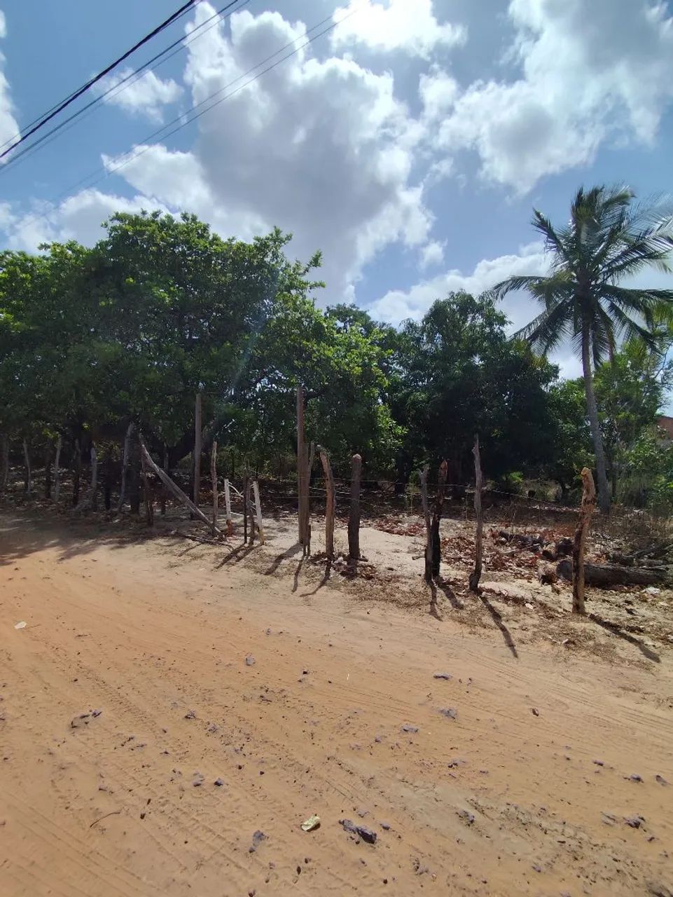 Vendo TERRENO em BARREIRINHAS-MA  - Foto 2