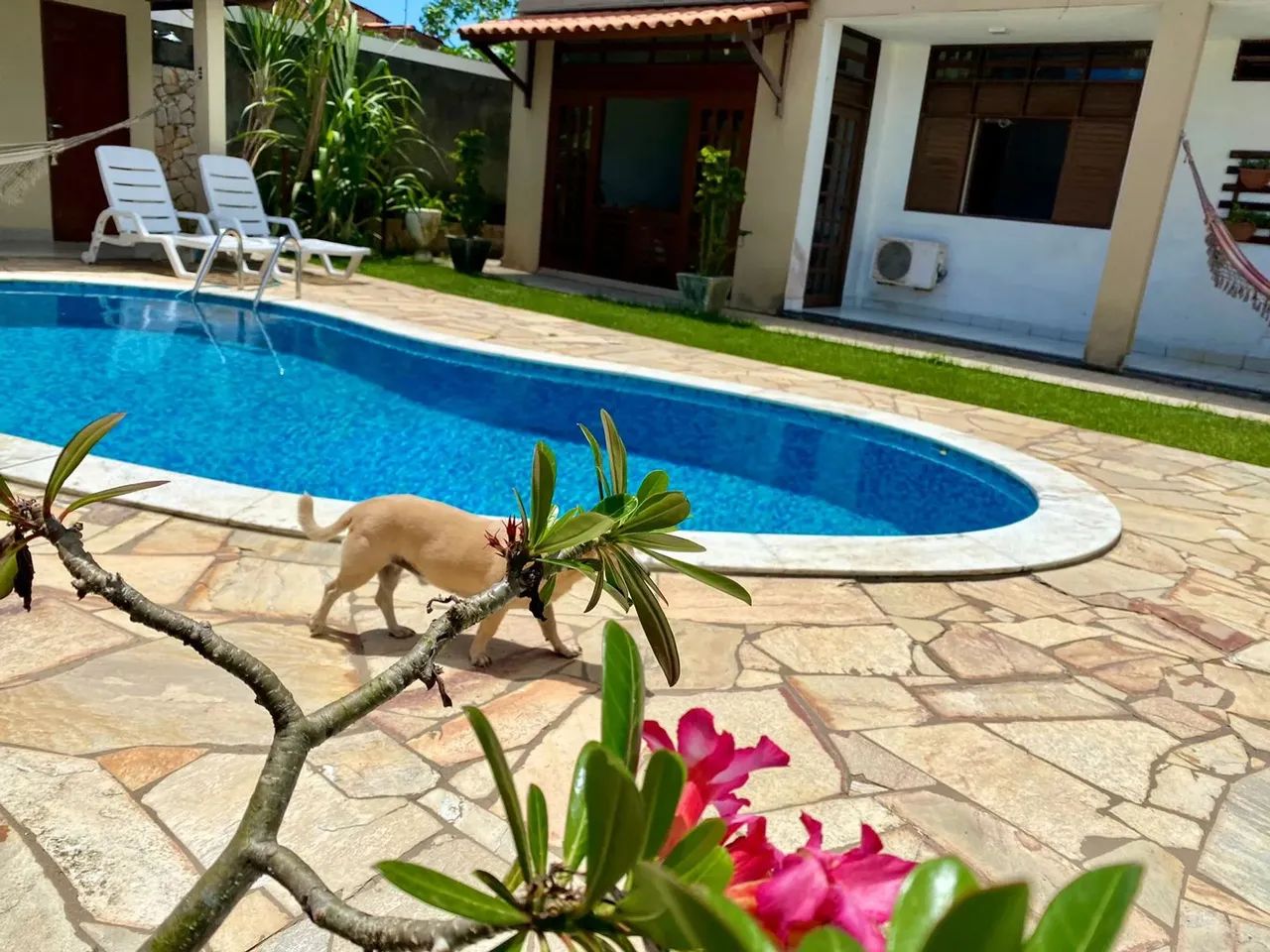 Casa à venda na Santa Amélia  R$ 790.000 - Cond. Porto Belo - Foto 4