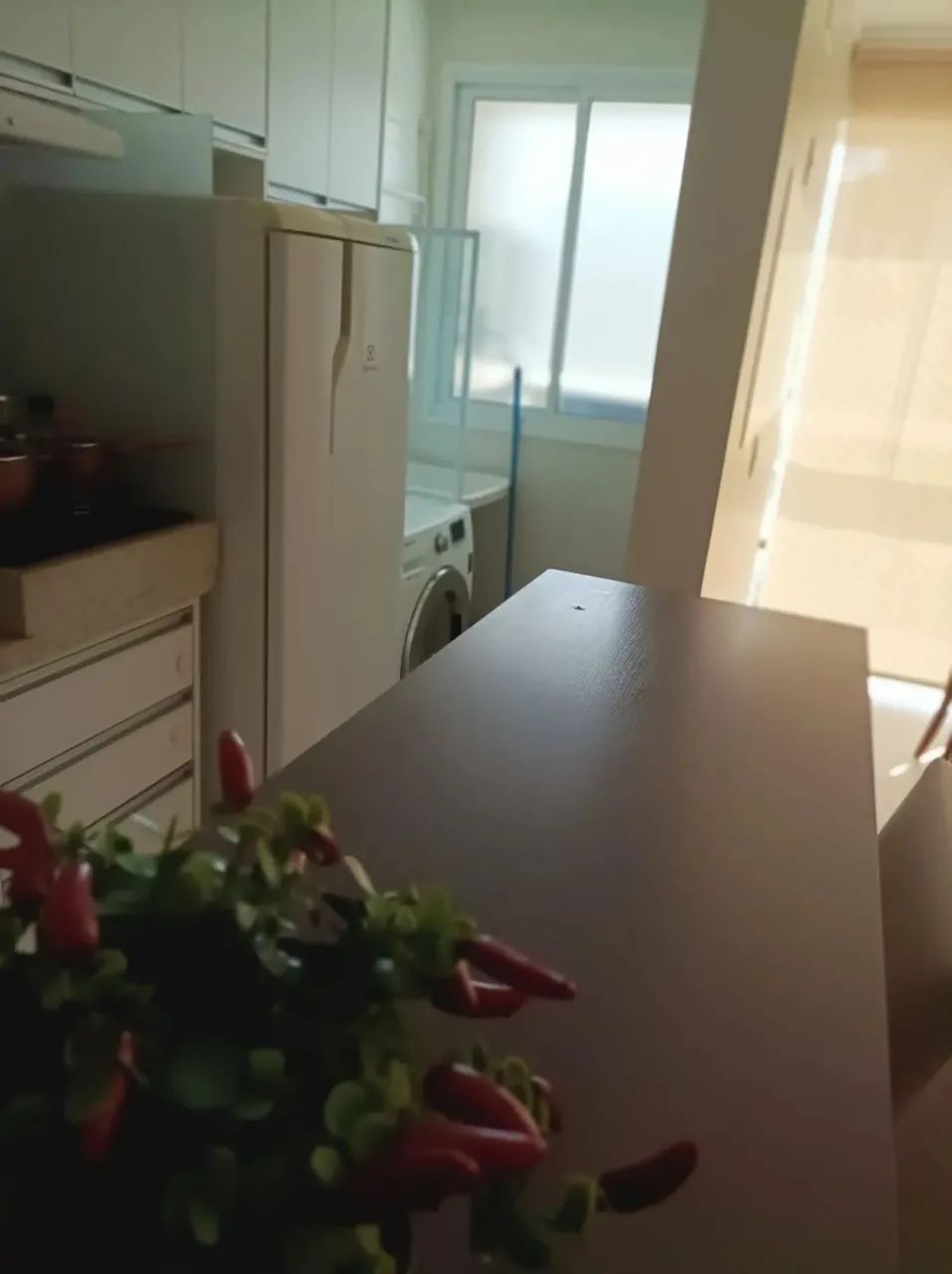 Alugo Apartamento 2 Quartos 56m2 1 Vaga Mobiliado e Decorado Jardim Goiás - Goiânia - GO - Foto 4