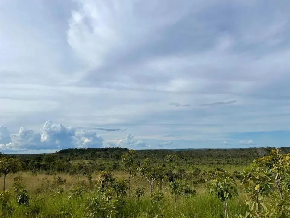 Fazenda para Venda em Santa Maria do Tocantins, Santa Maria do Tocantins - Foto 4