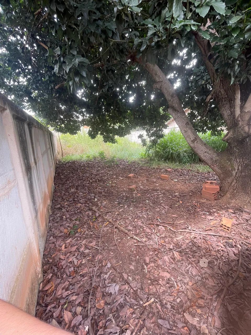 Vende se lote 300M - Foto 2
