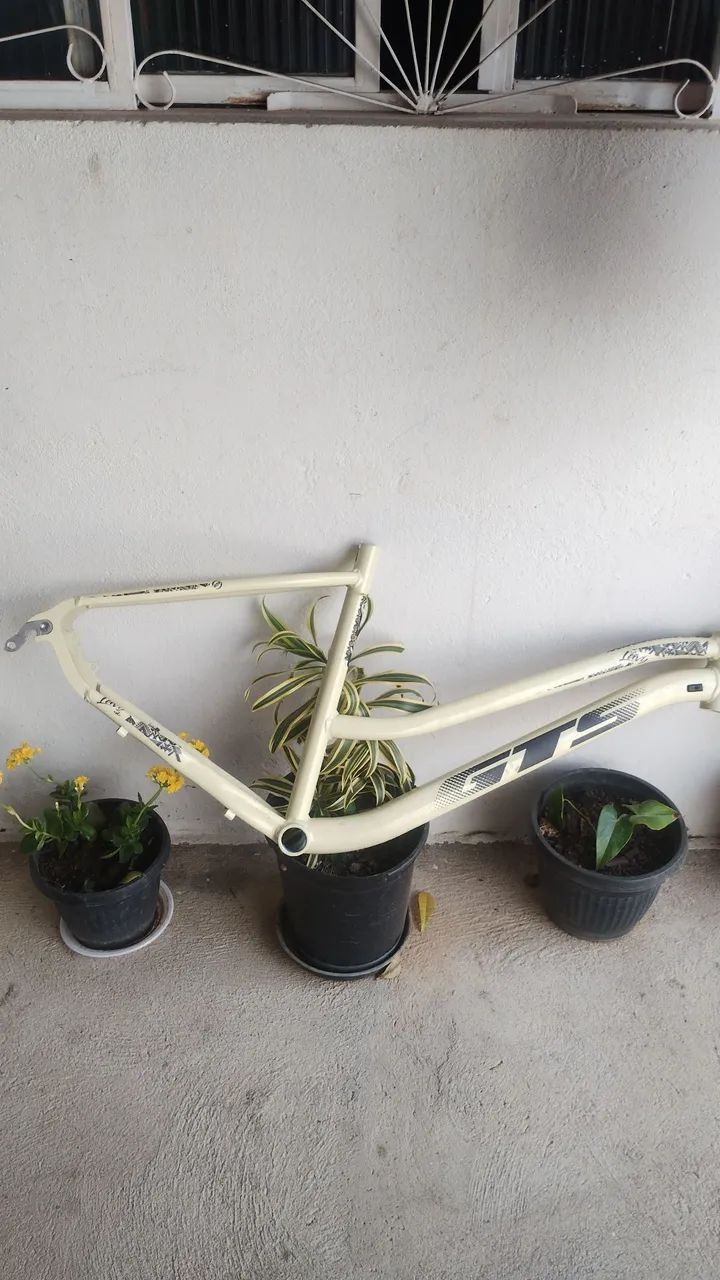 Quadro de baik quadro 17 aro 29 