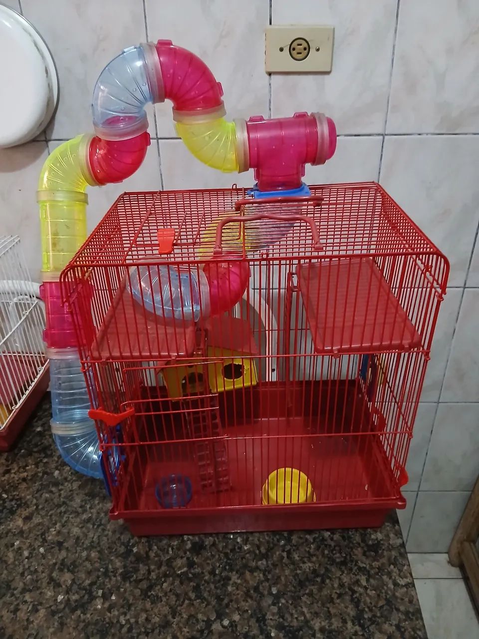 Gaiola para Hammister 
