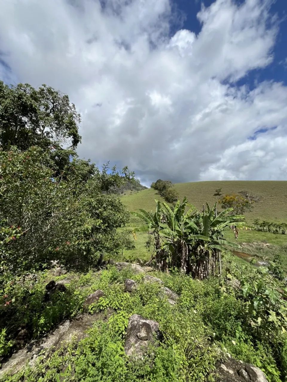 Fazenda para Venda em Joaquim Gomes, Centro - Foto 2