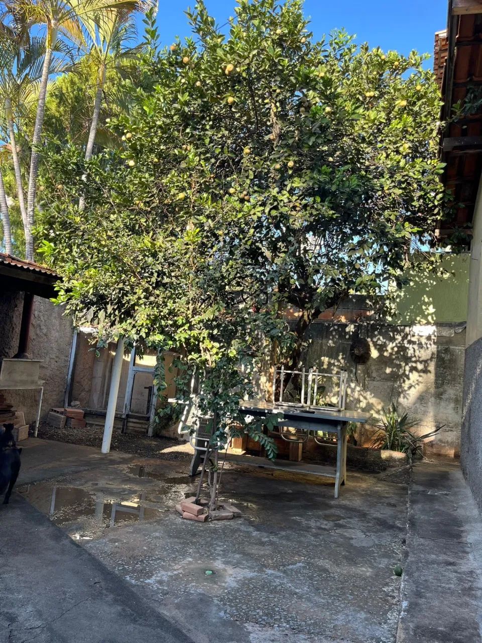 CASA A VENDA - Foto 4