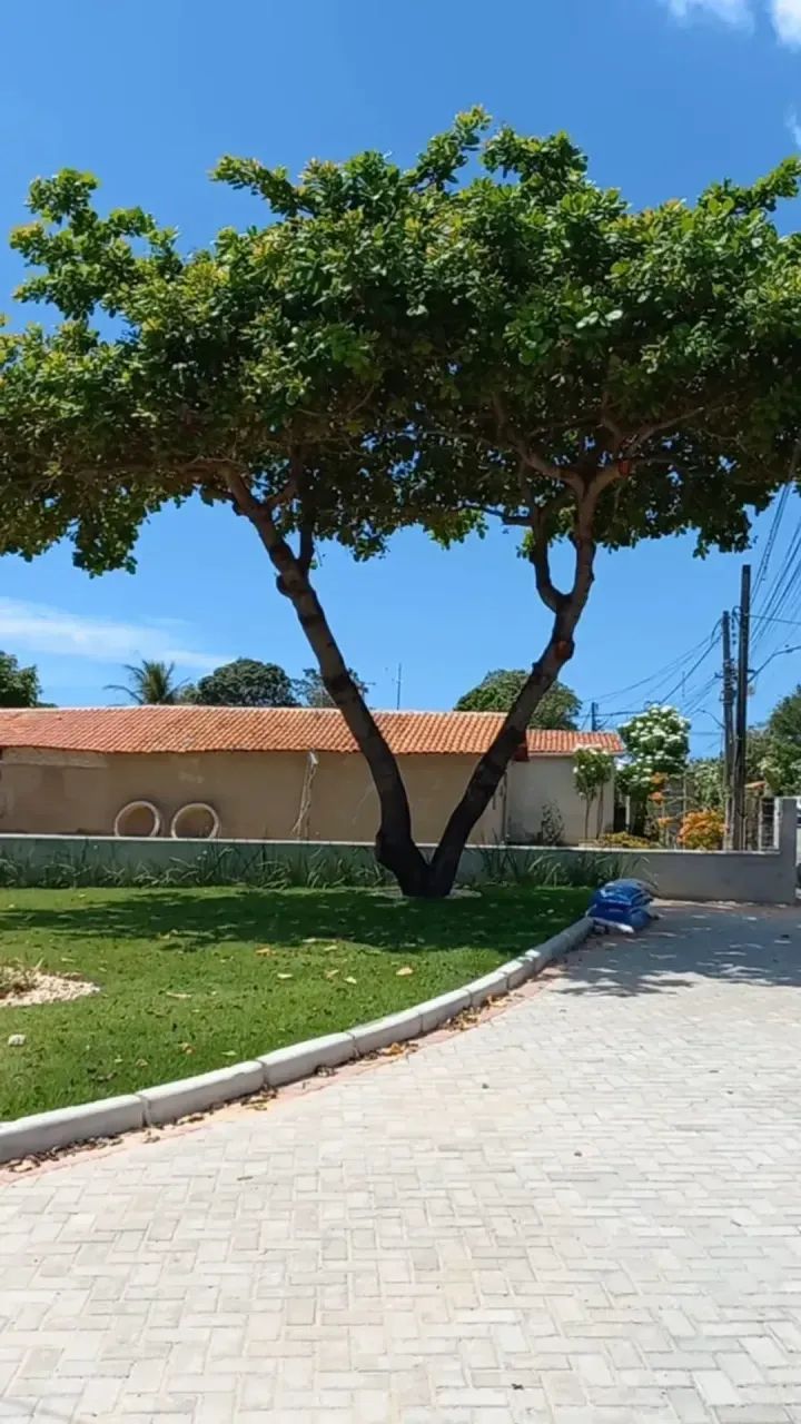 LOTES EM PINDORETAMA COM INFRAESTRUTURA COMPLETO - Foto 5