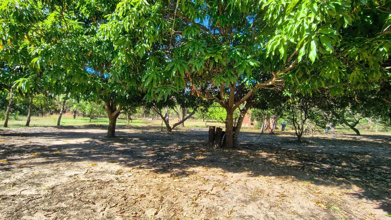 Sítio dos netos  - Foto 2