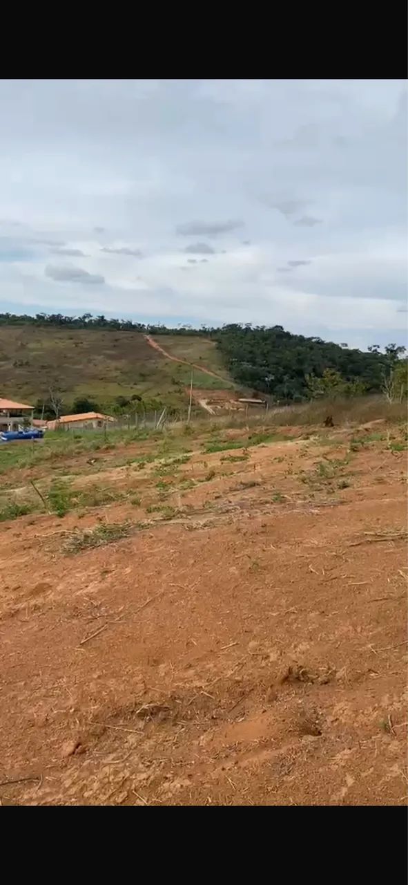 Granja em Simão Pereira  - Foto 4