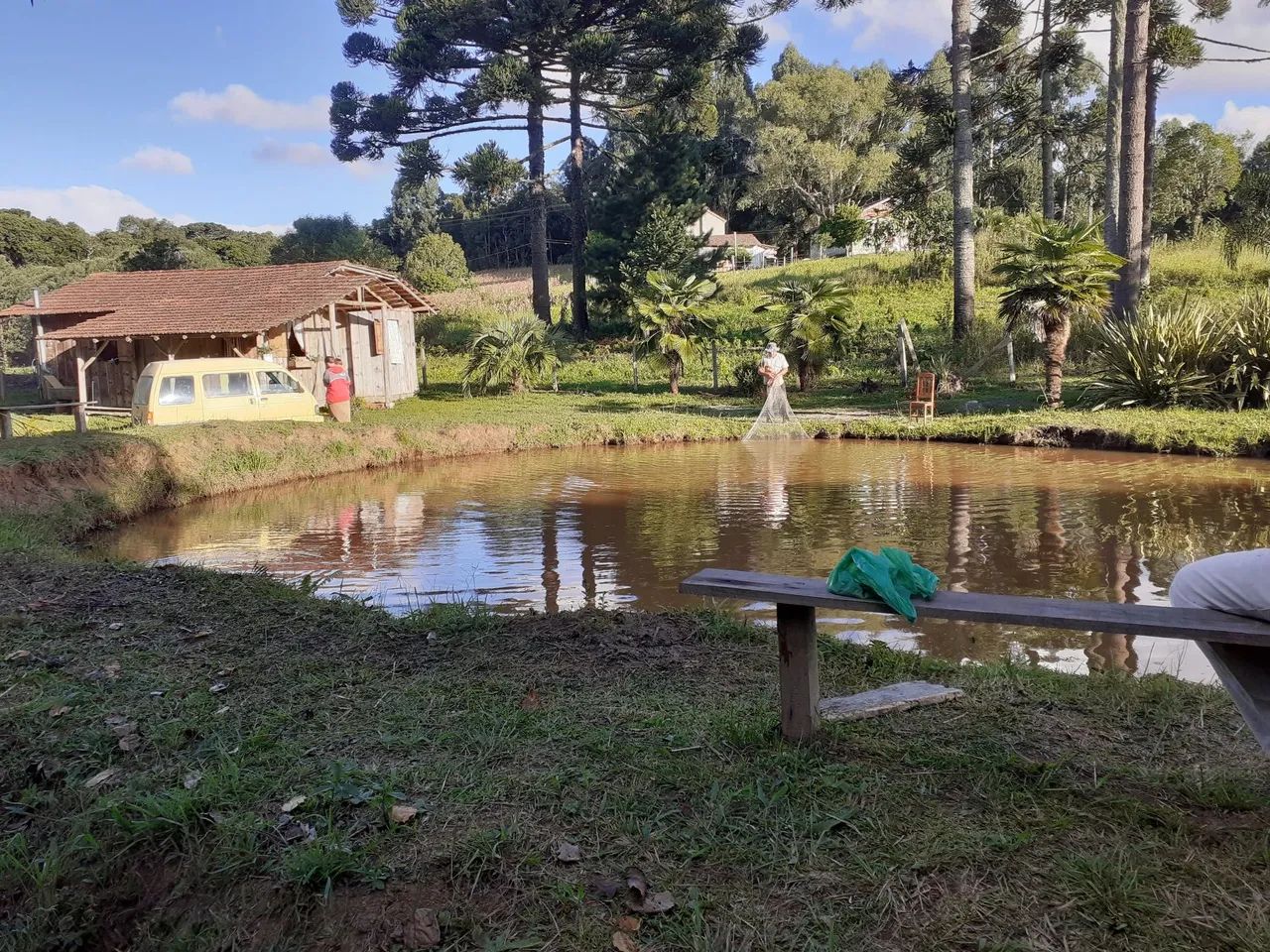 Chacrinha  - Foto 5