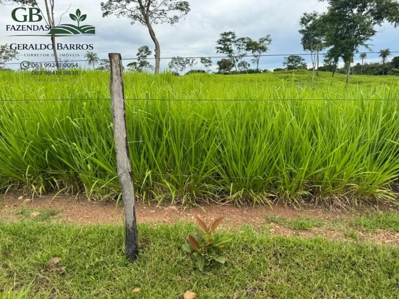 Linda Fazenda Pronta pra mora 