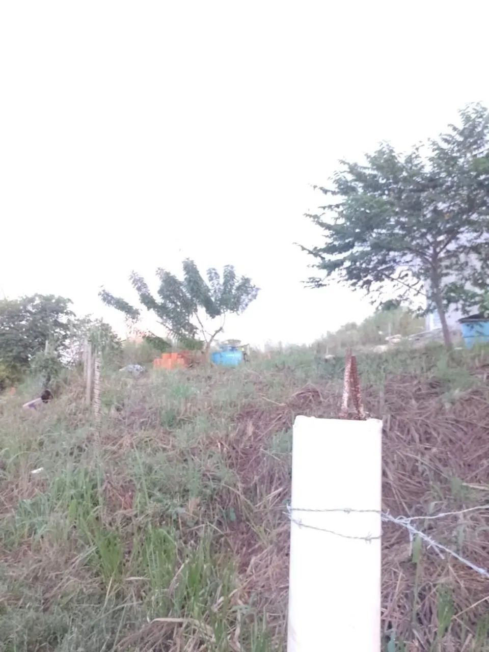 Venda  - Foto 3