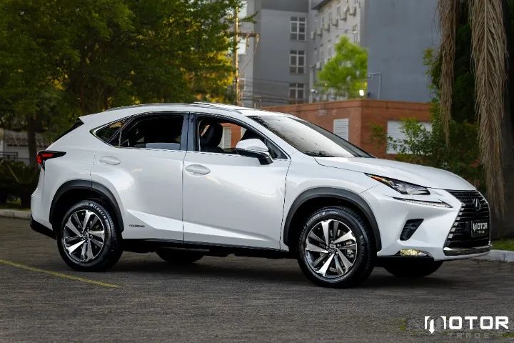 Lexus NX-300 H Luxury 2.5 16V Aut., foto 3 de 20