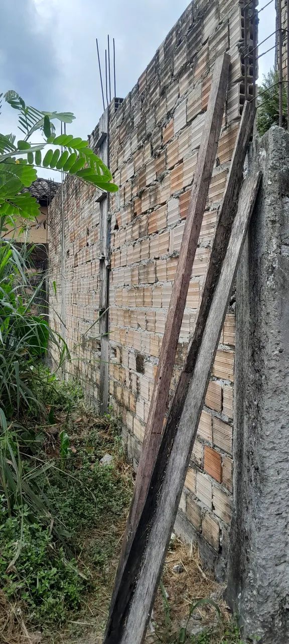 TERRENOS  - Foto 2