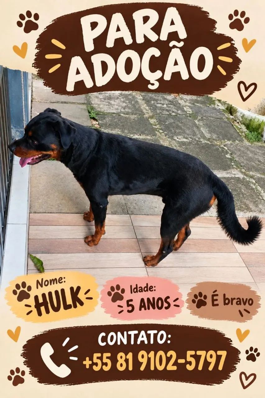 Cachorro 