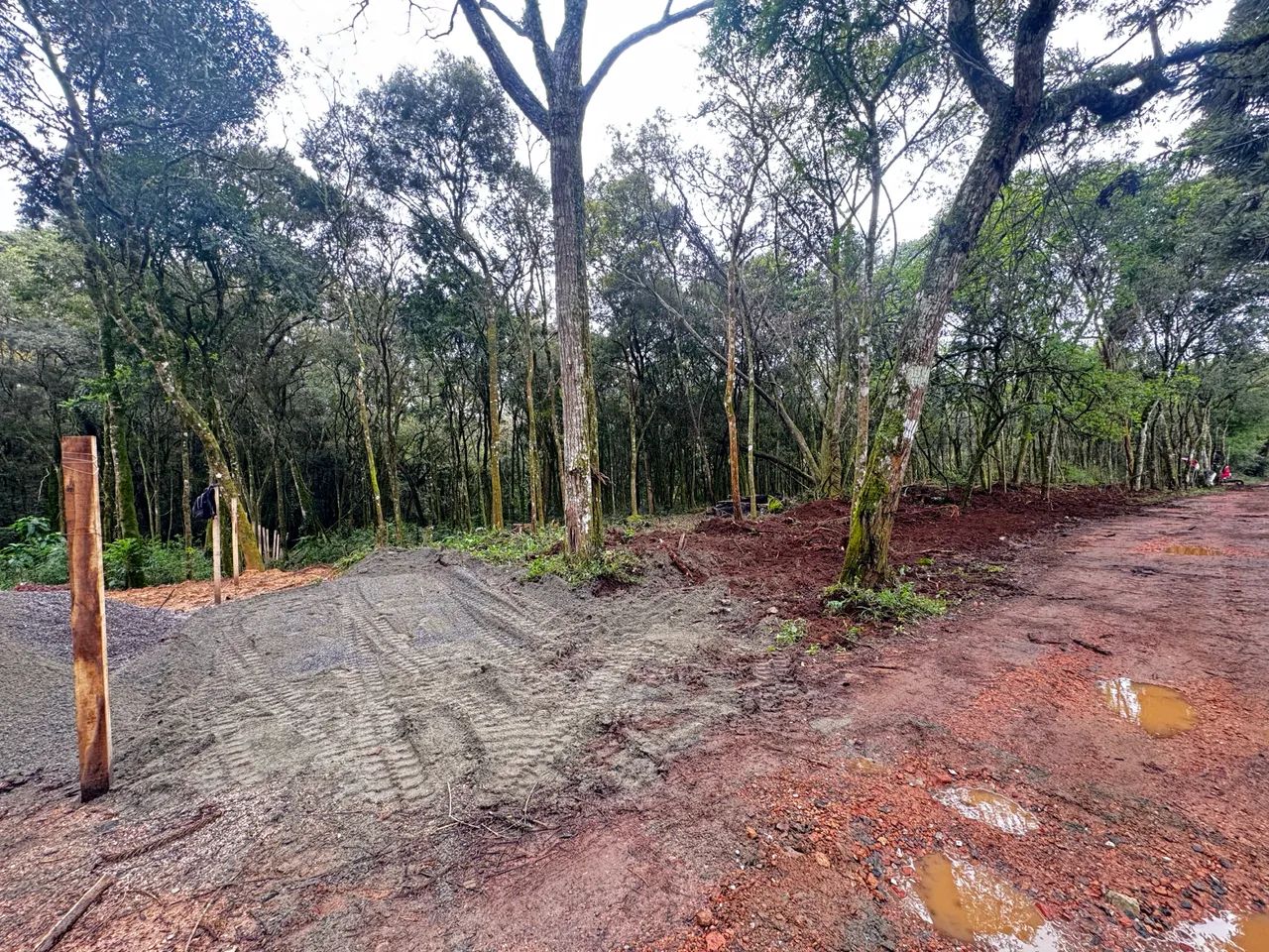 TERRENO / LOTES 700m2 NO GANCHINHO  - Foto 3