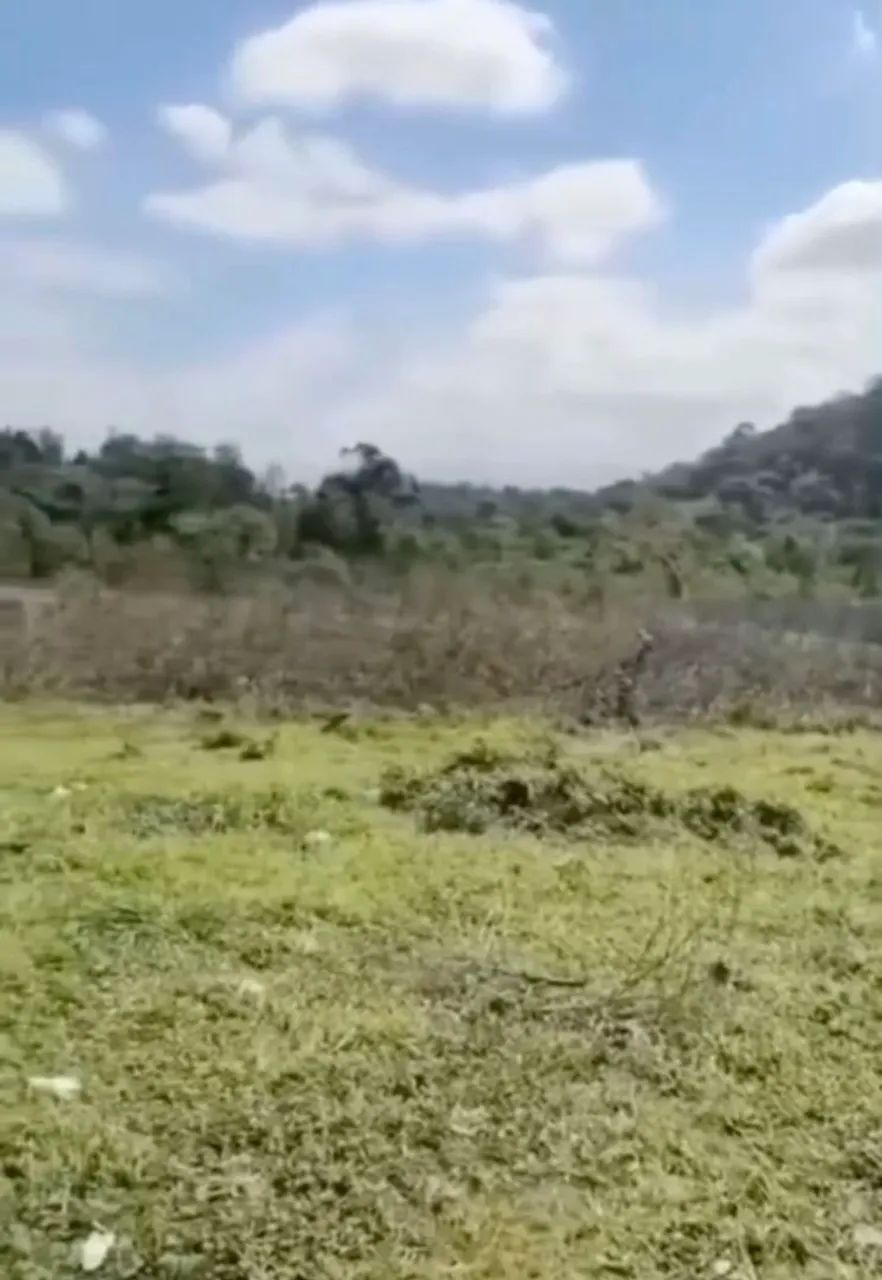 Terreno em Xerem - Foto 4