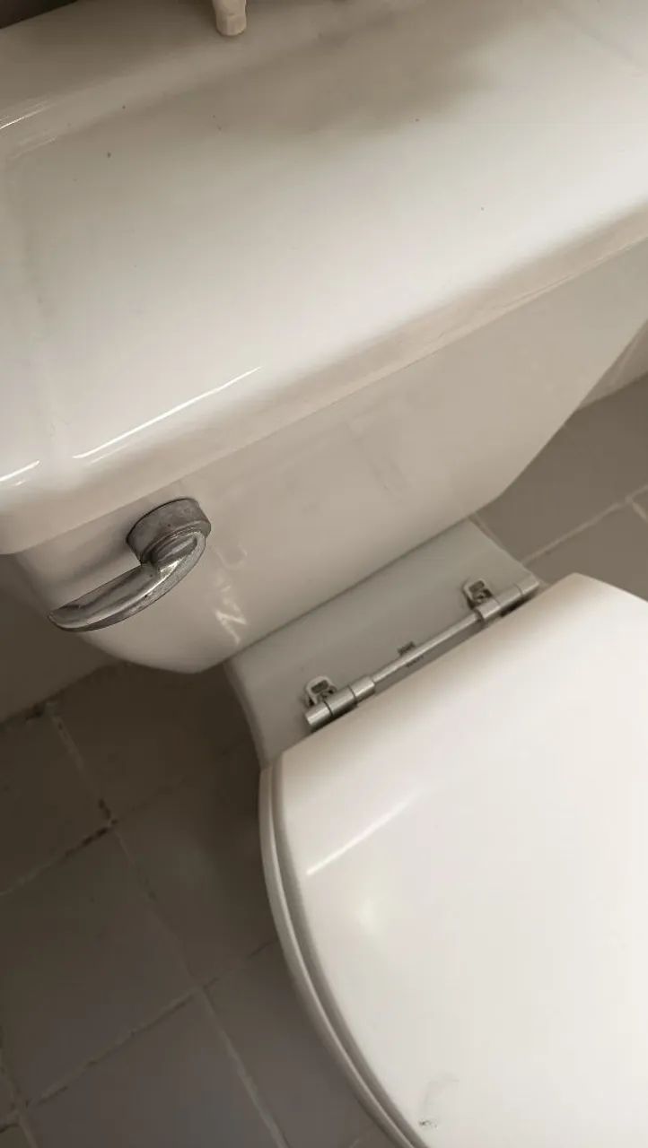 Vaso sanitário com caixa acoplada e tampa com fixação em inox  - Foto 3
