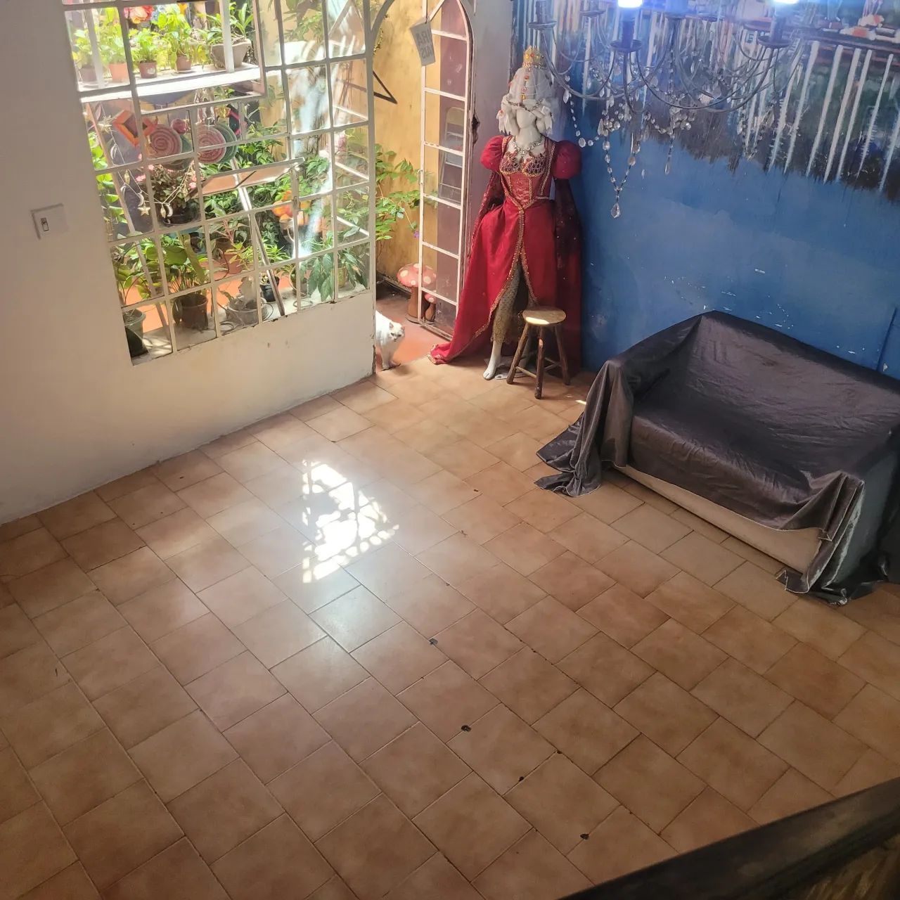Casa Ampla de Dois Pavimentos na Rua 7  Moradia ou Negócio em Excelente Localização - Foto 5