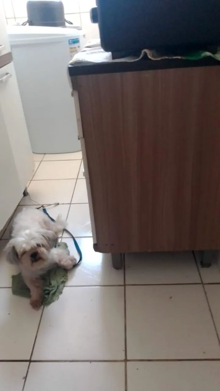 Armário para cozinha - Foto 3