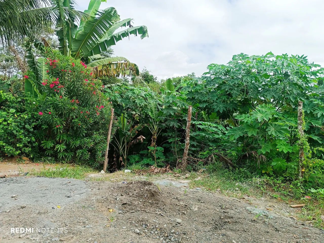 Terreno Barra ville - Foto 2