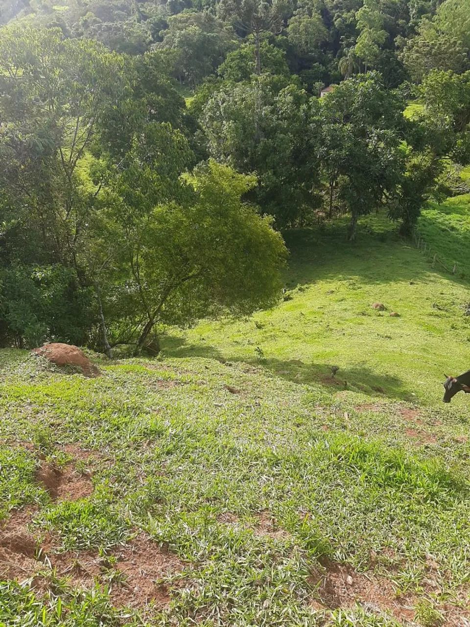 Sitio - Foto 3