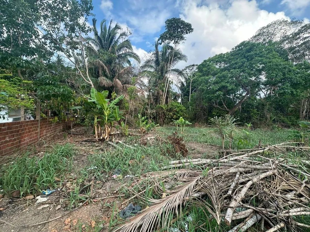 Terreno Zona Leste - Estuda-se Trocas - Foto 4