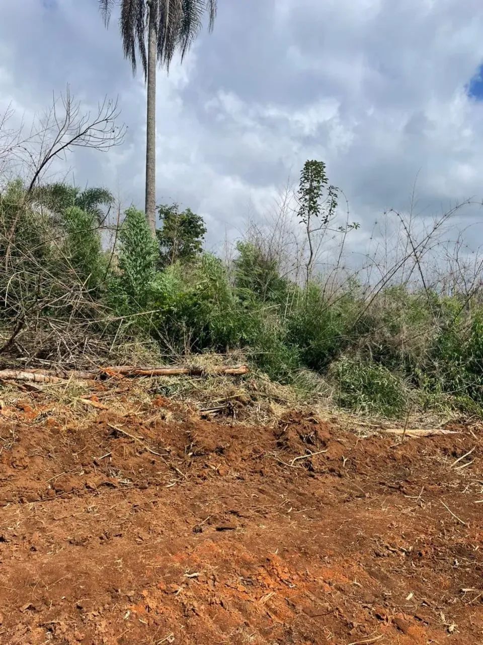 LOTES DE 600M² PRÓXIMO A TERRA PRETA - Foto 5