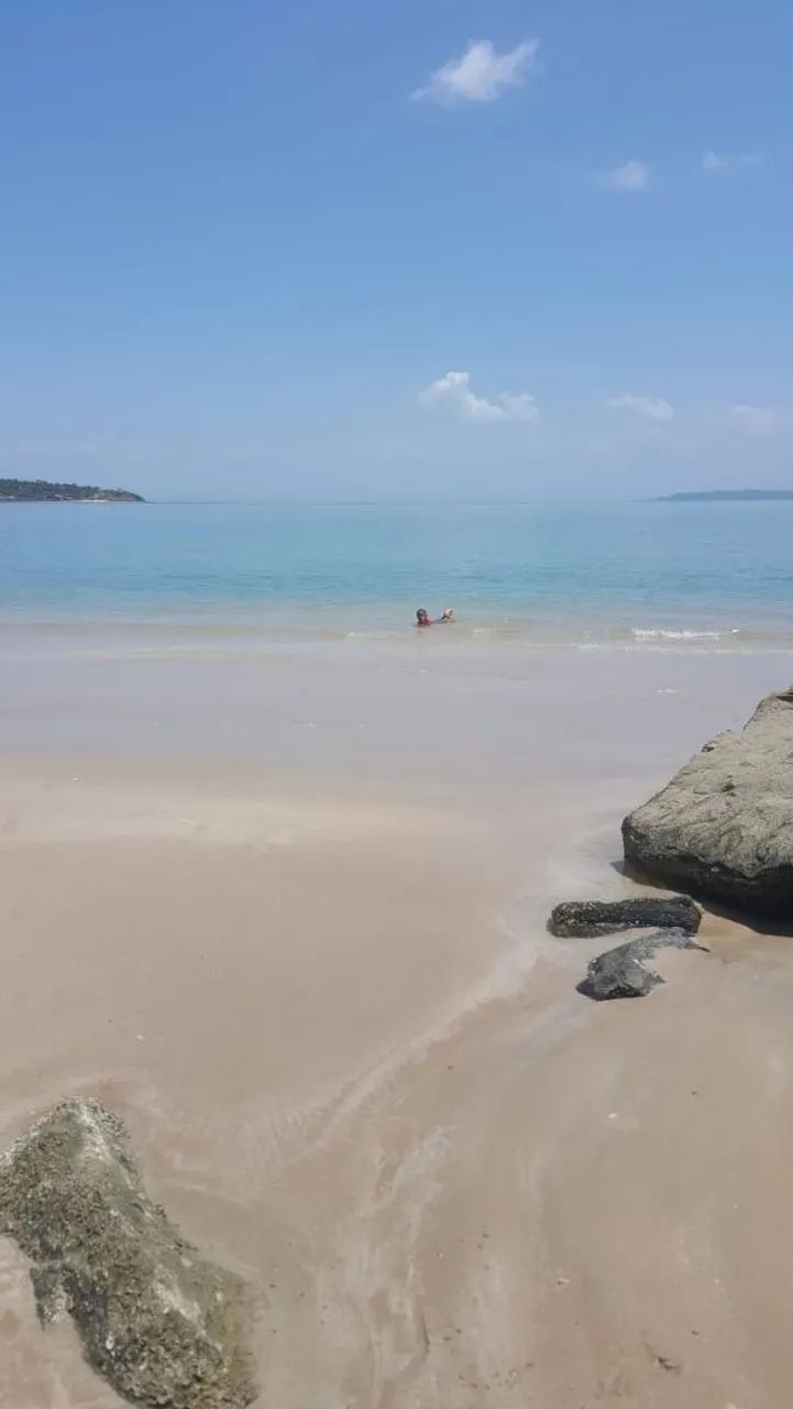 Terreno na ilha de bom despacho. - Foto 5