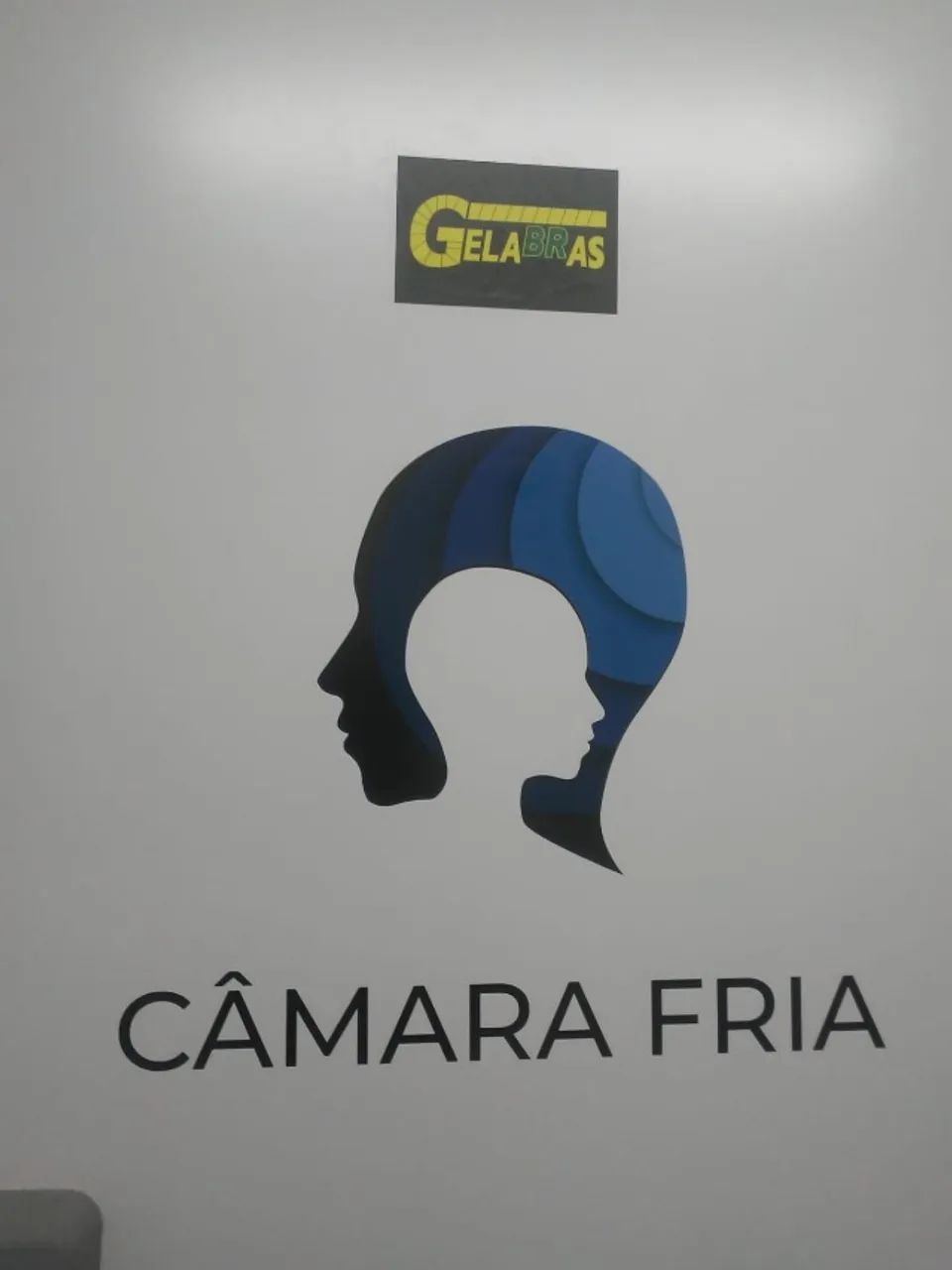 Camara Fria