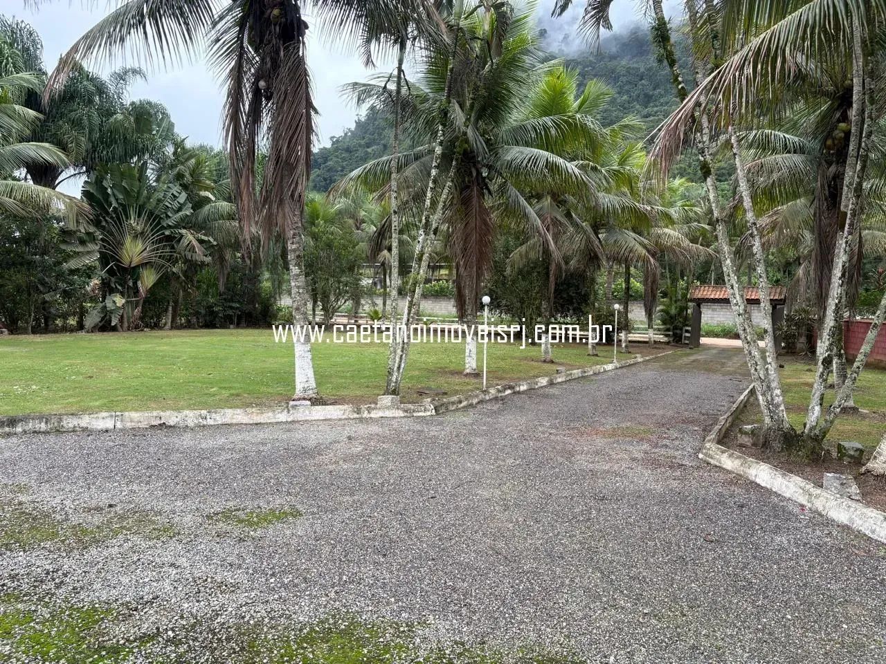 Sítio Perto do Centro de Papucaia C/ Muitas Frutíferas - Foto 4