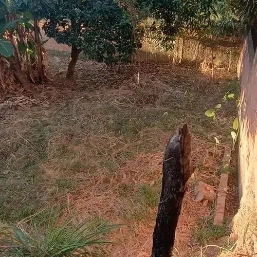 Excelente Lote em São Benedito área comercial. - Foto 4
