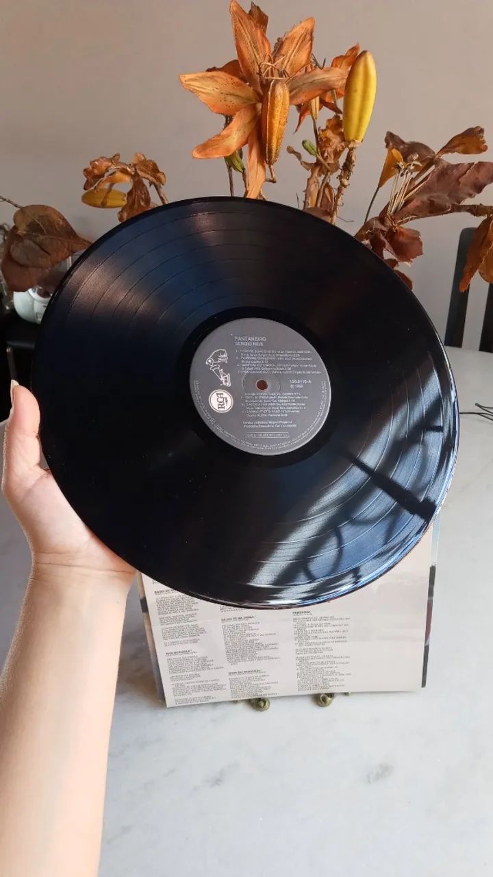lp vinil - sergio reis - pantaneiro - com encarte - Foto 2