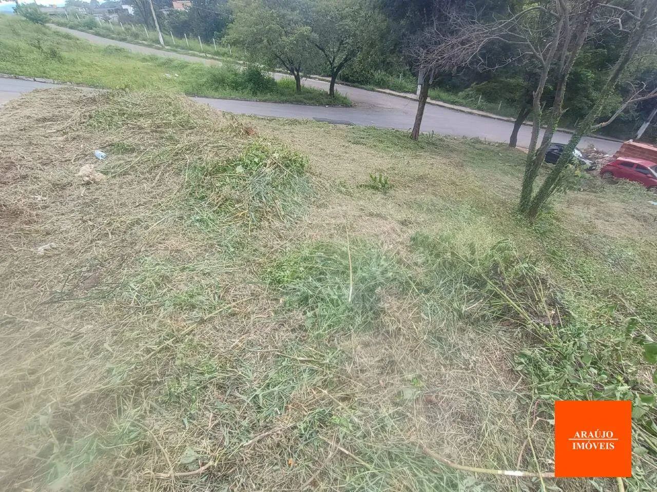 LOTE COM 435,16M2 EM SÃO JOSÉ DA LAPA-MG - Foto 4