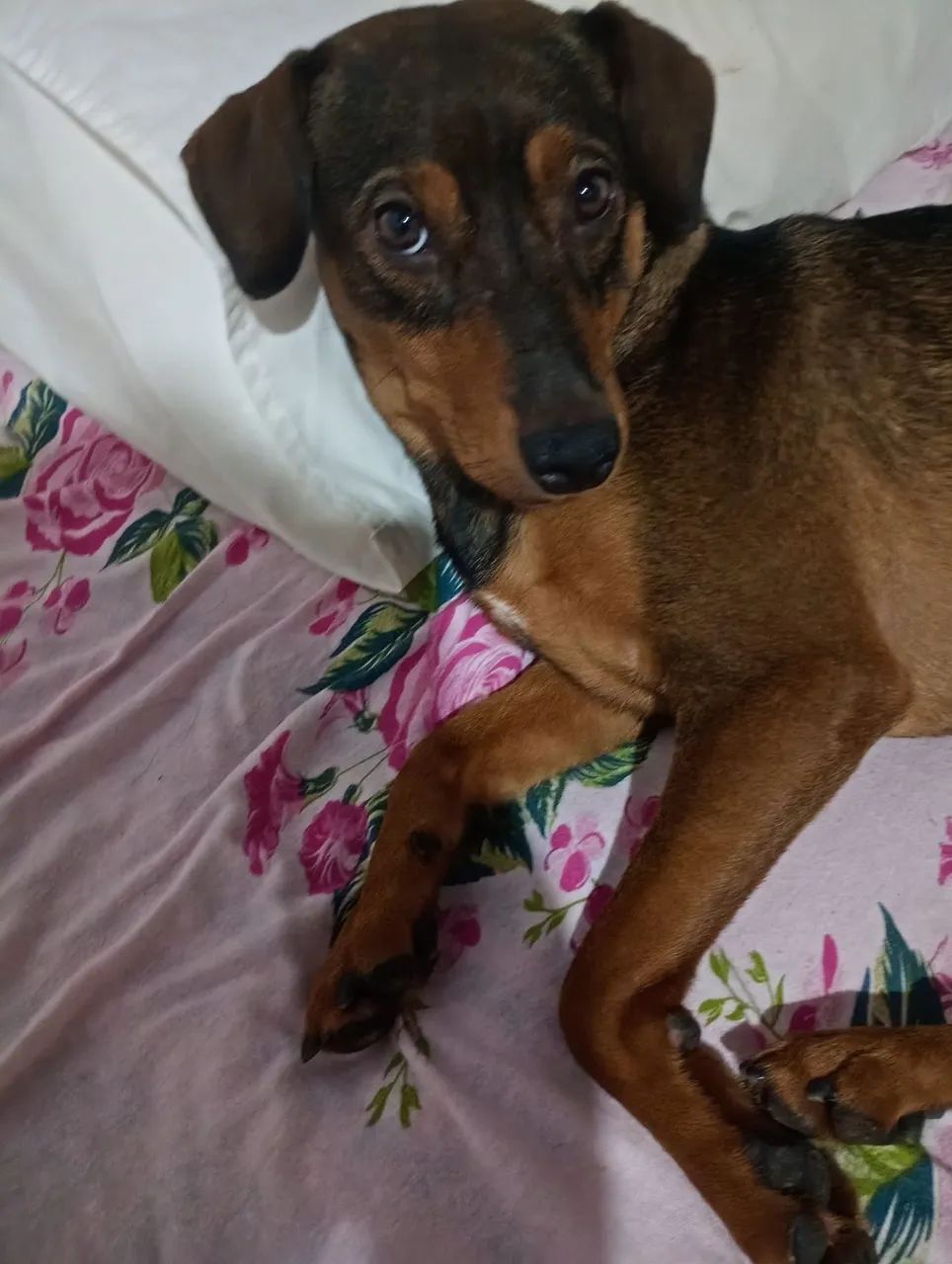 Mohamed para doação  - Foto 3