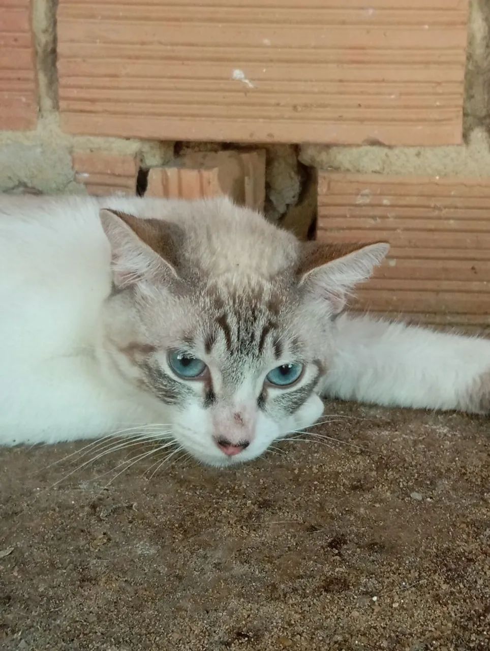 Doação