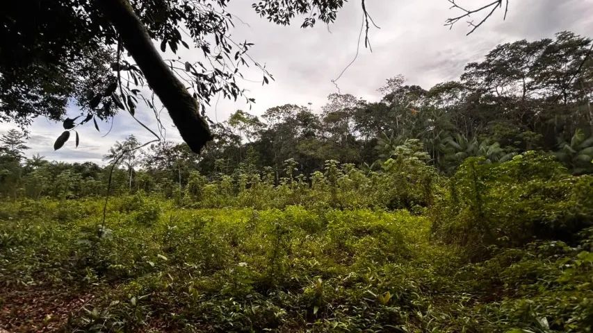 Terreno 3.000m² às margem do Rio Matapi - Foto 5